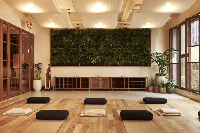 Holistic Wellness Retreats